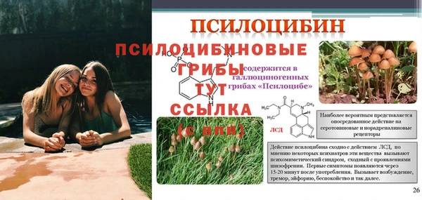прущие крисы Верхний Тагил