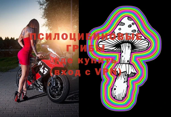ПСИЛОЦИБИНОВЫЕ ГРИБЫ Володарск