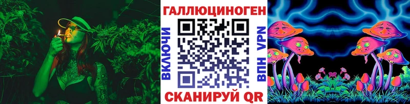 Псилоцибиновые грибы Cubensis Калач